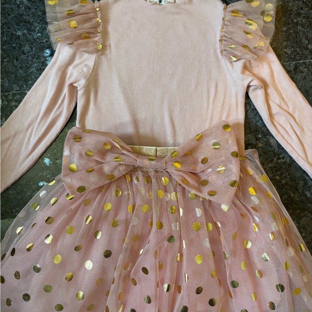 Pink Tulle Dress with Gold Accents 4T